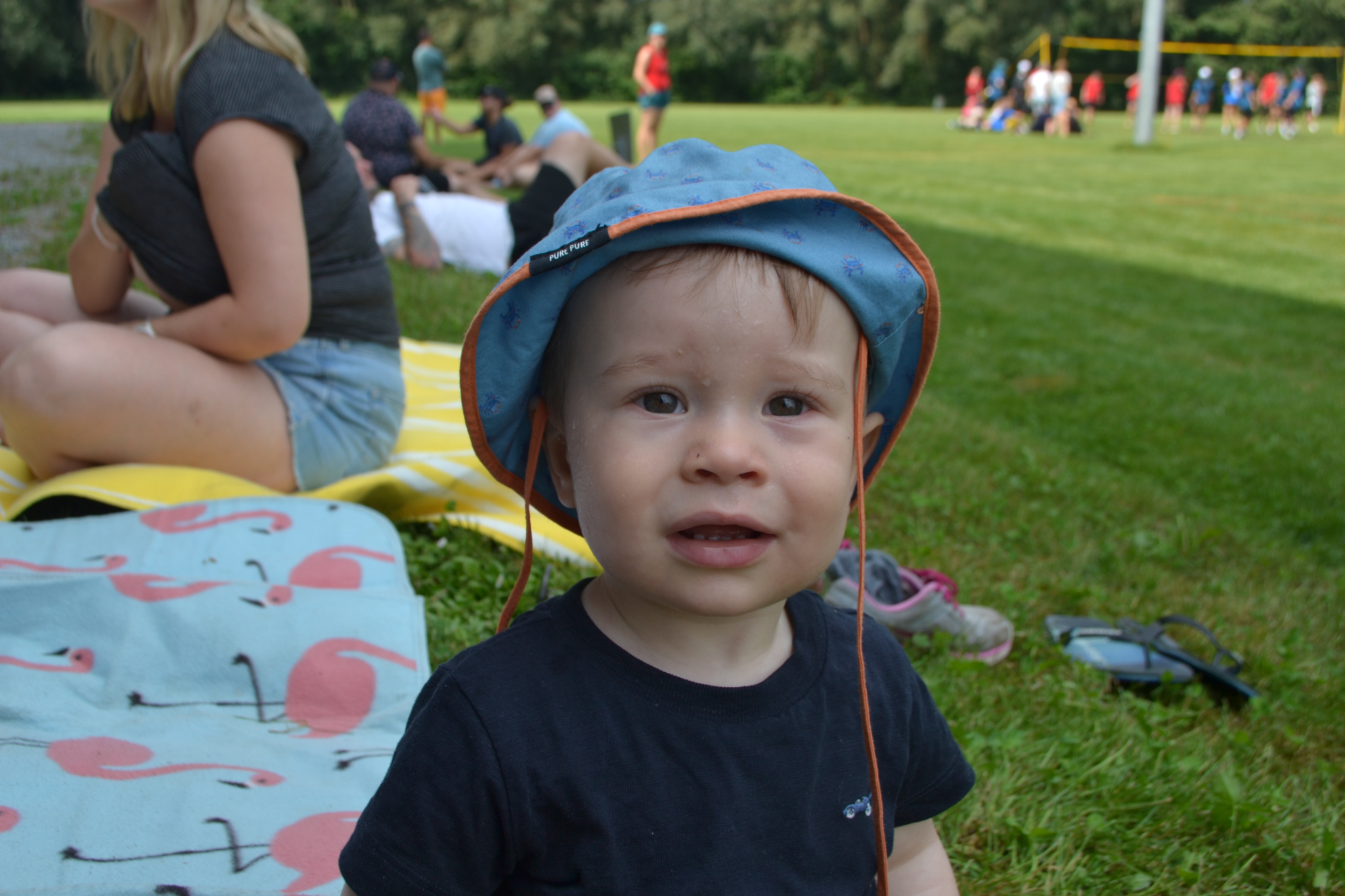 Bild (44)